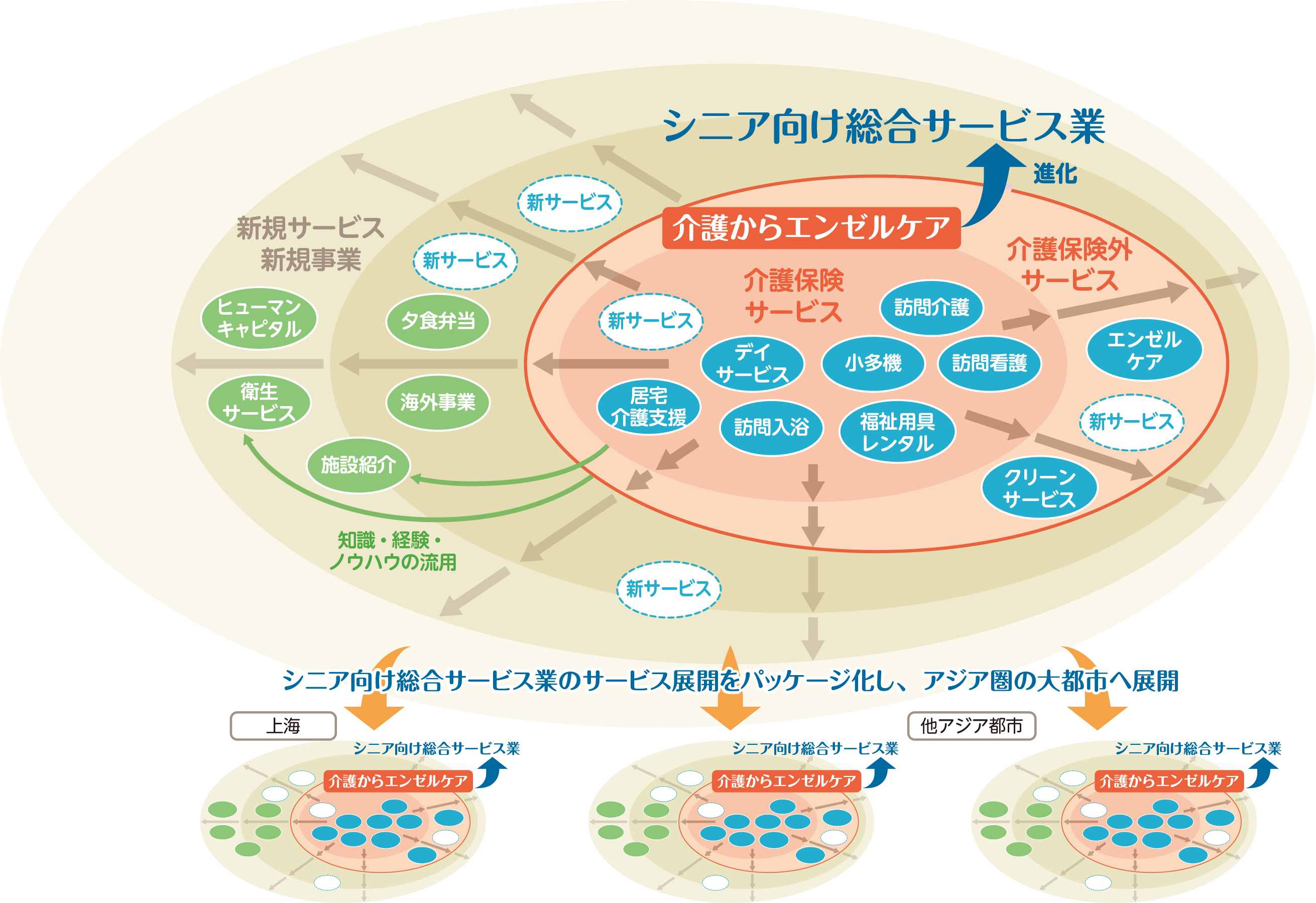 シニア向け総合サービスの事業領域のイメージ